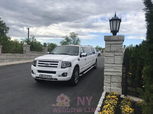 White Ford Expedition